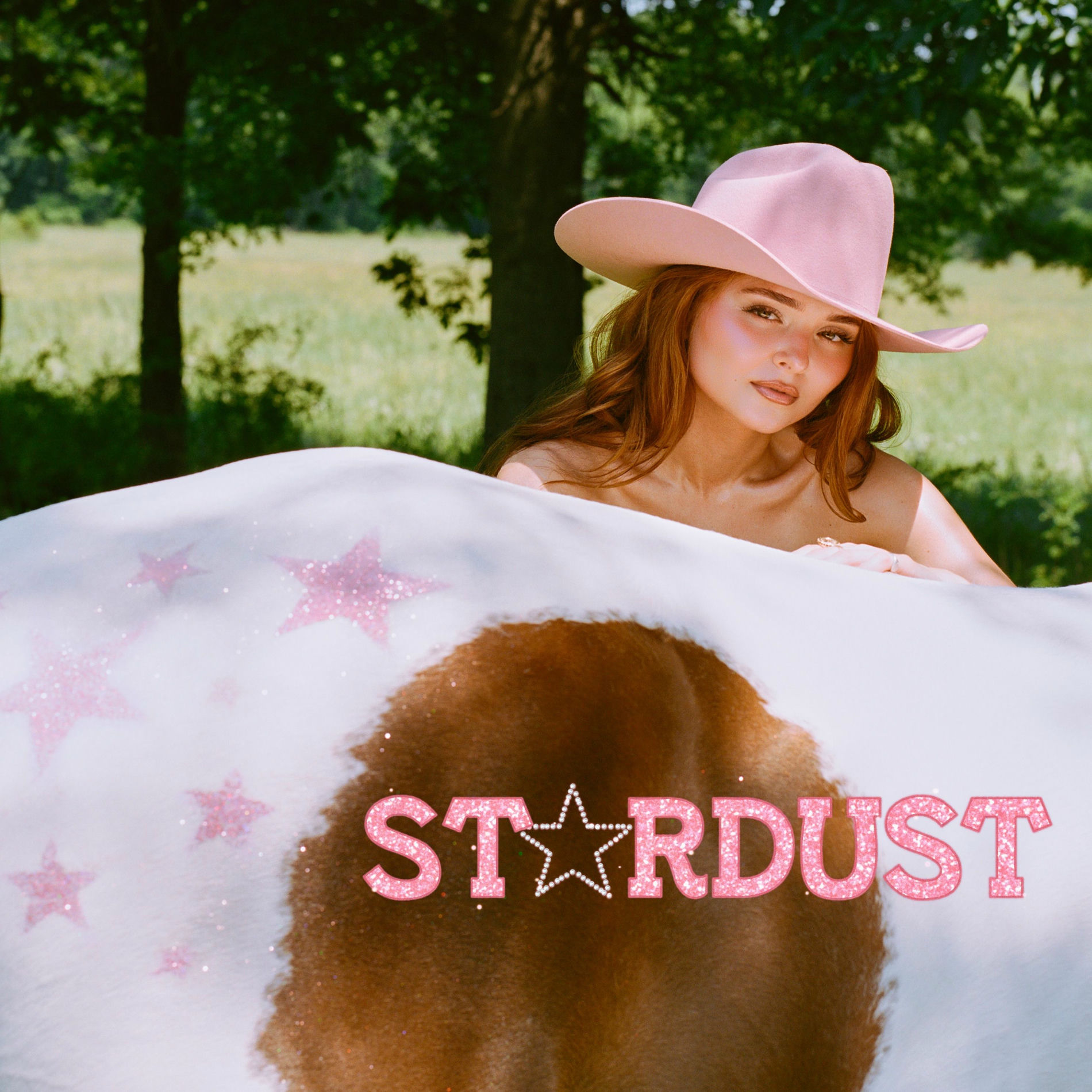 Album cover of Stardust