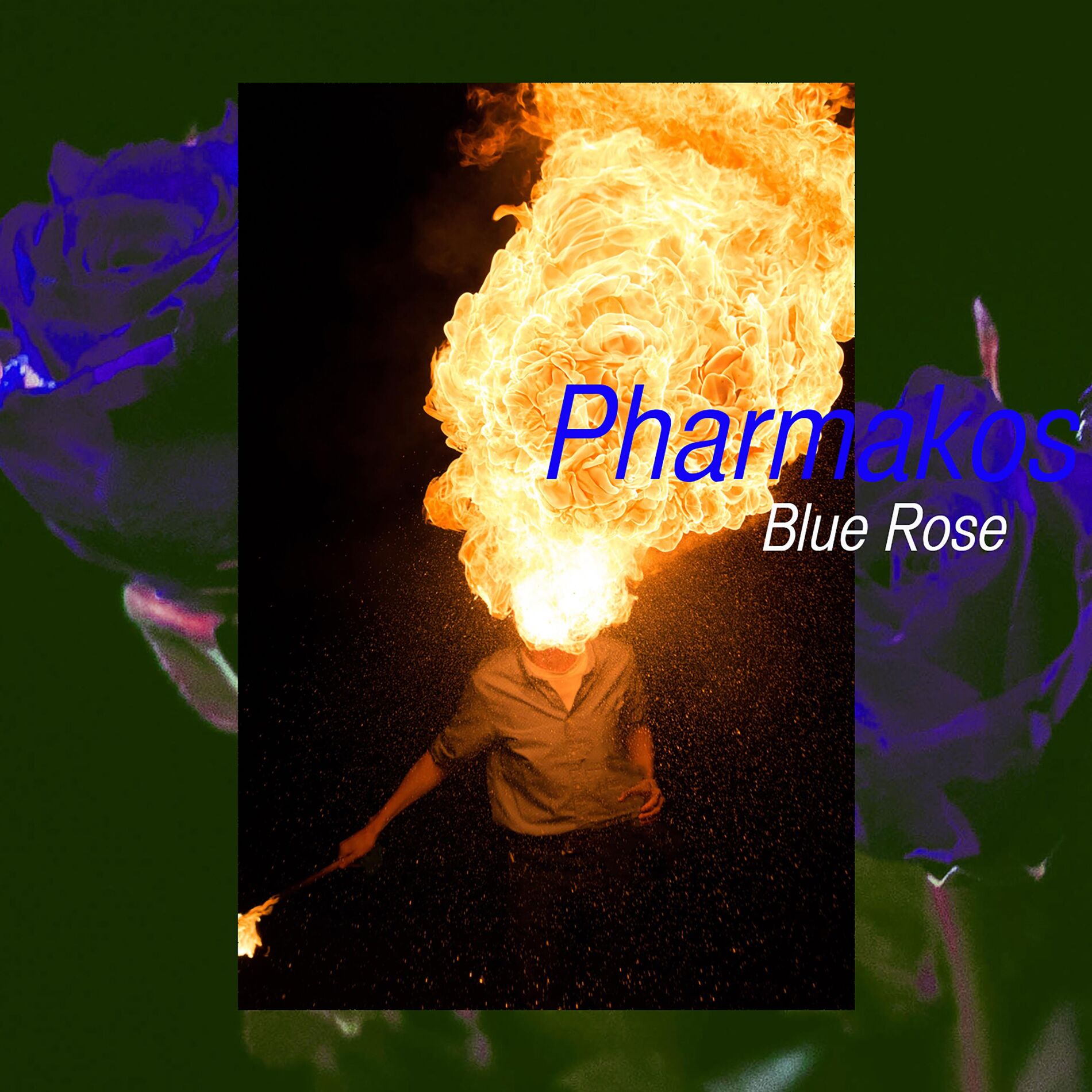 Album cover of Blue Rose