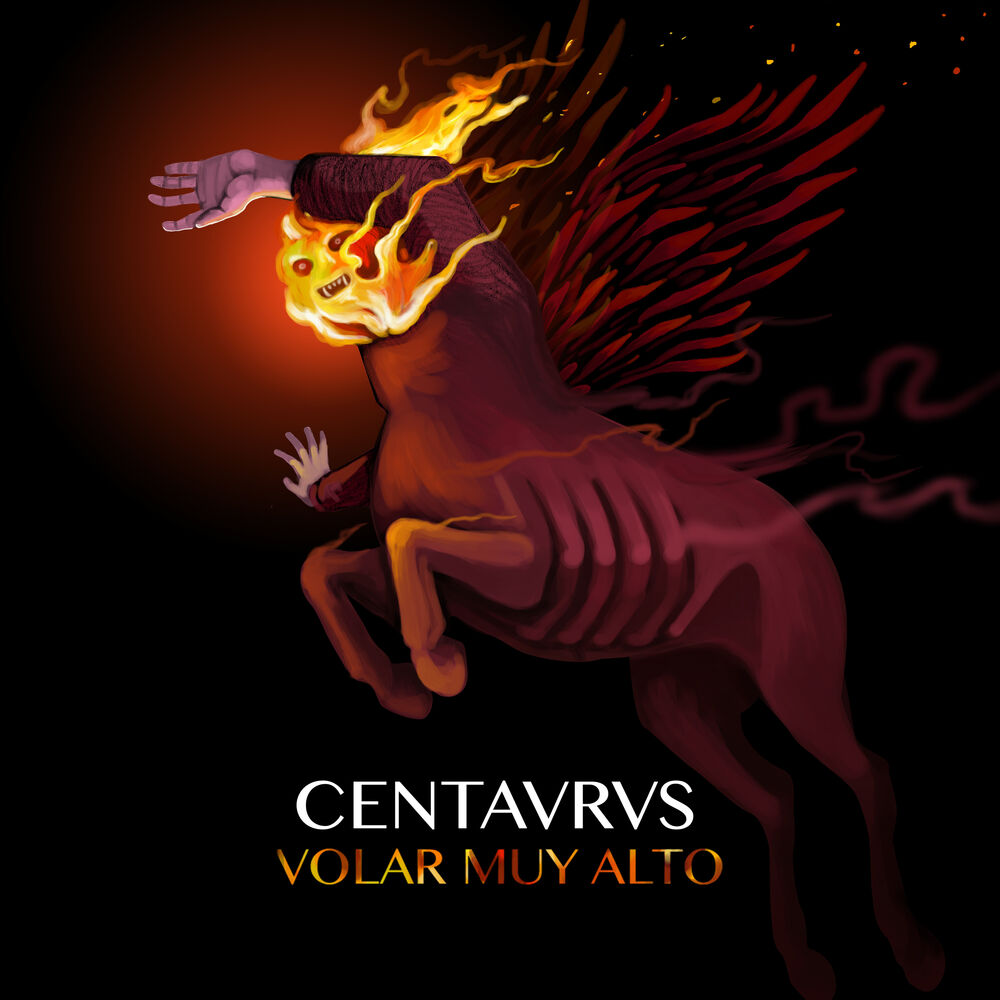 Picture of Volar Muy Alto