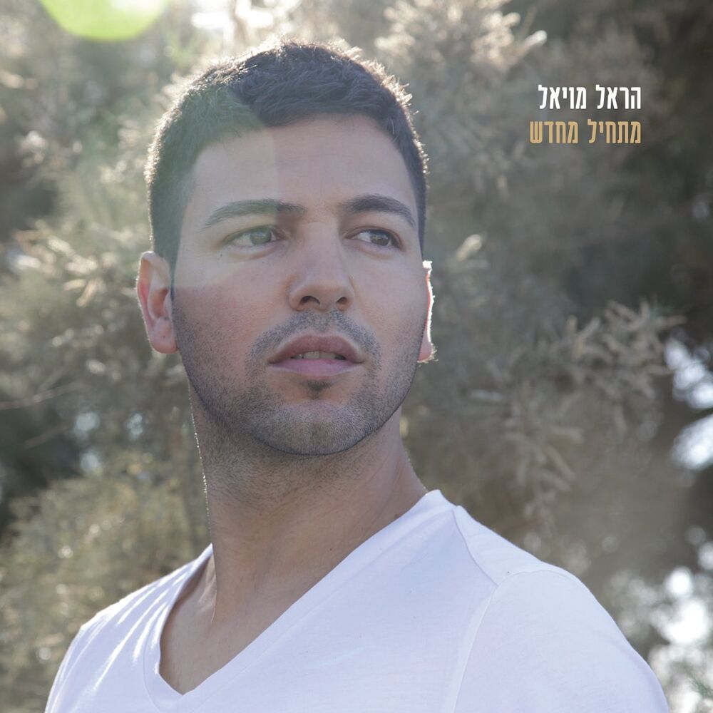 Picture of מתחיל מחדש