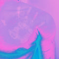 FightBack