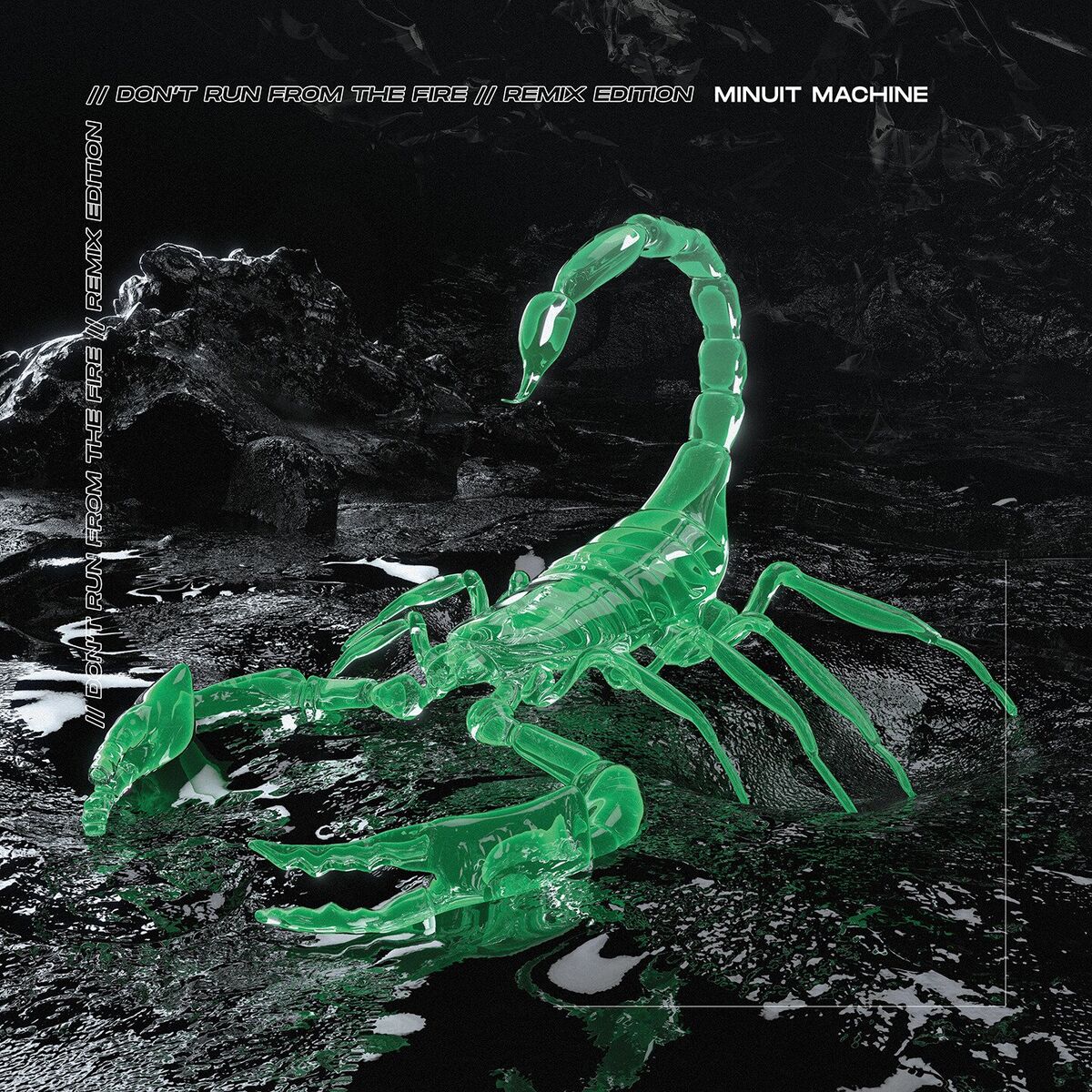 Album cover of Don't Run From The Fire