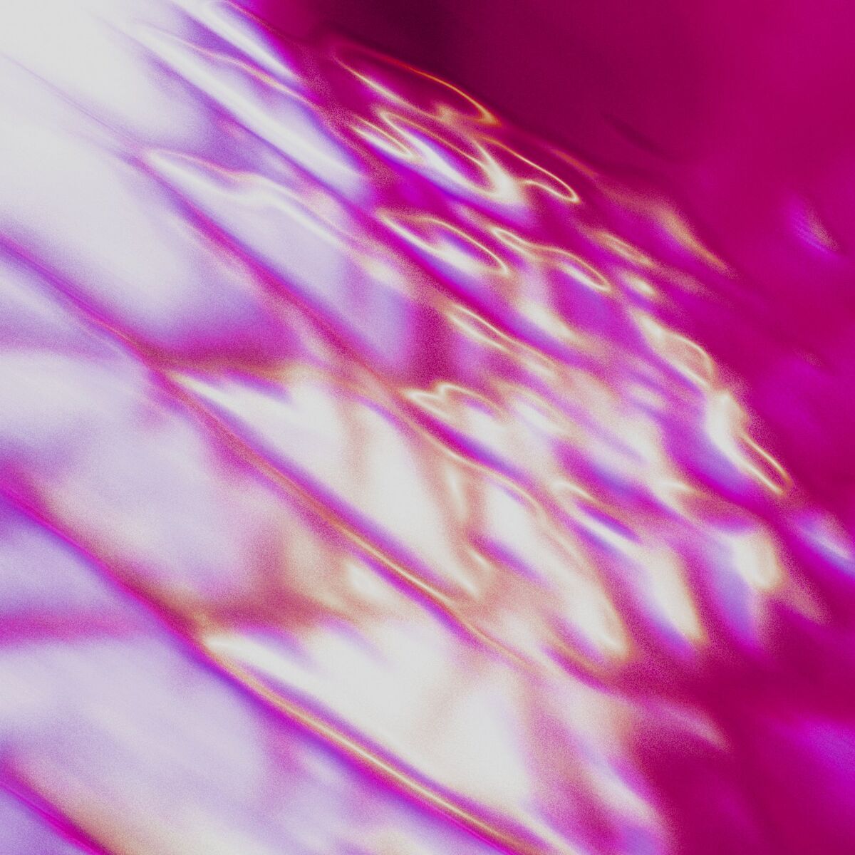 Album cover of Rose