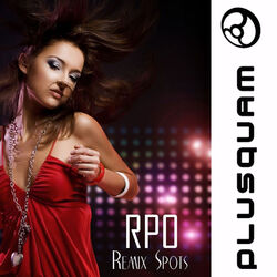 Cover of Remix Spots