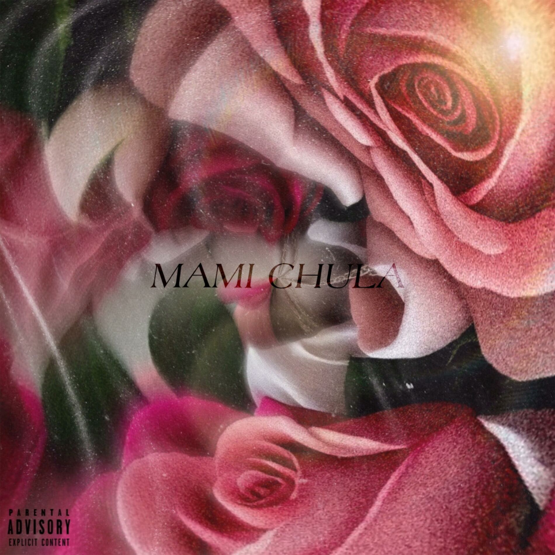 Album cover of Mami Chula