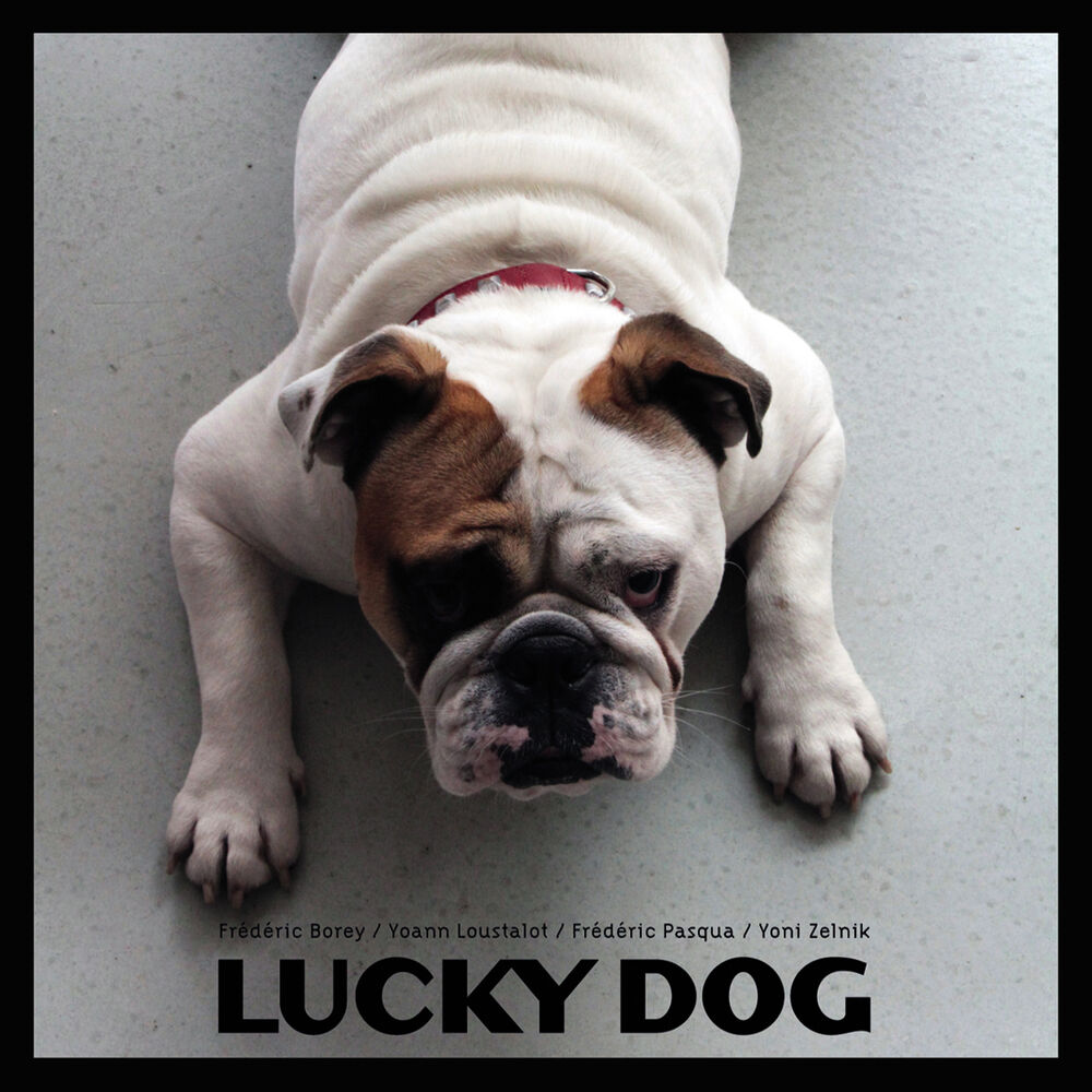 Picture of Lucky Dog