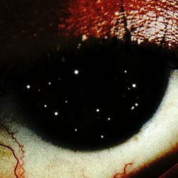 Cover of Stars