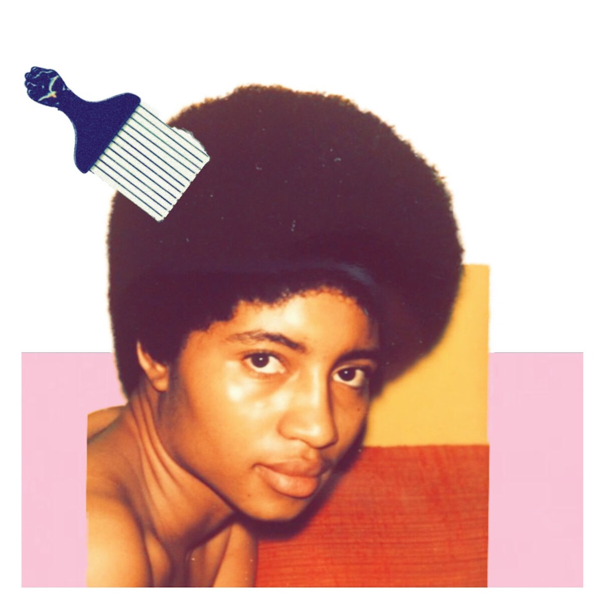 Album cover of The Many Alter-Egos of Trill'eta Brown