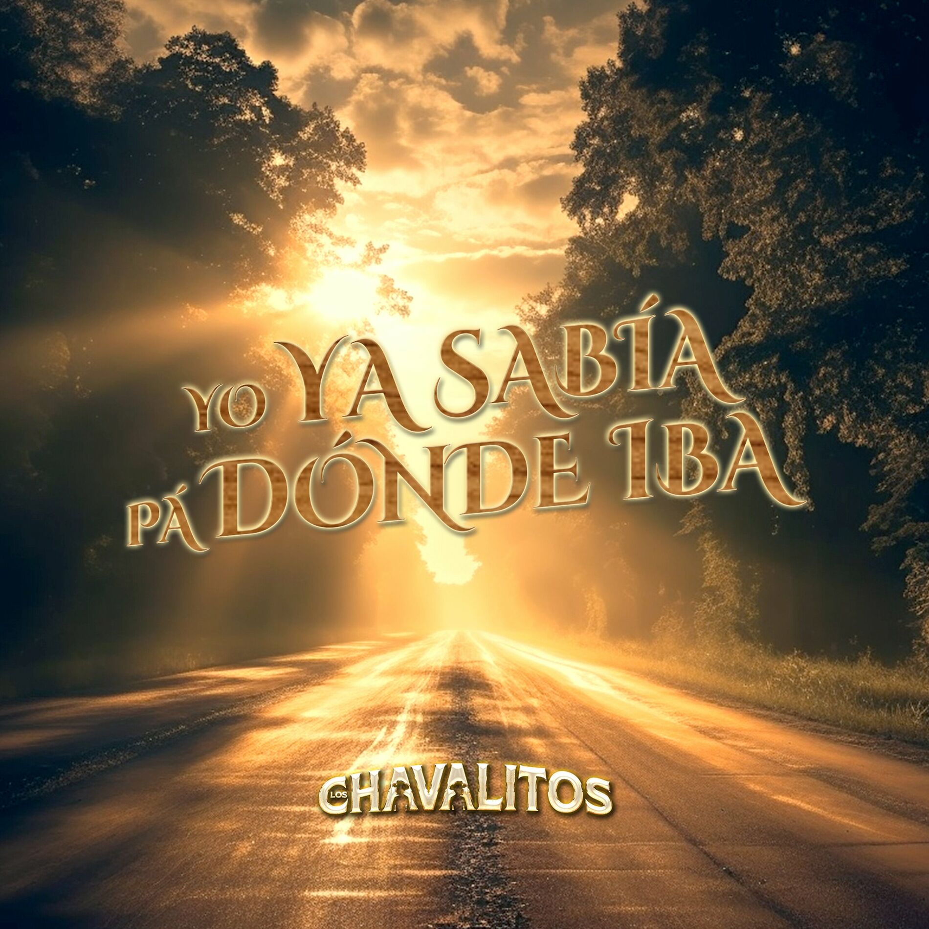 Album cover of Yo Ya Sabia Pa Donde Iba