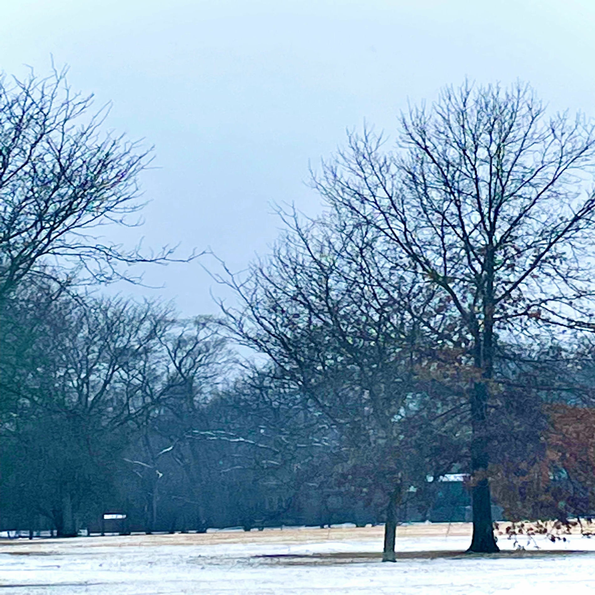 Album cover of MORE OF A LETTER THAN A SONG