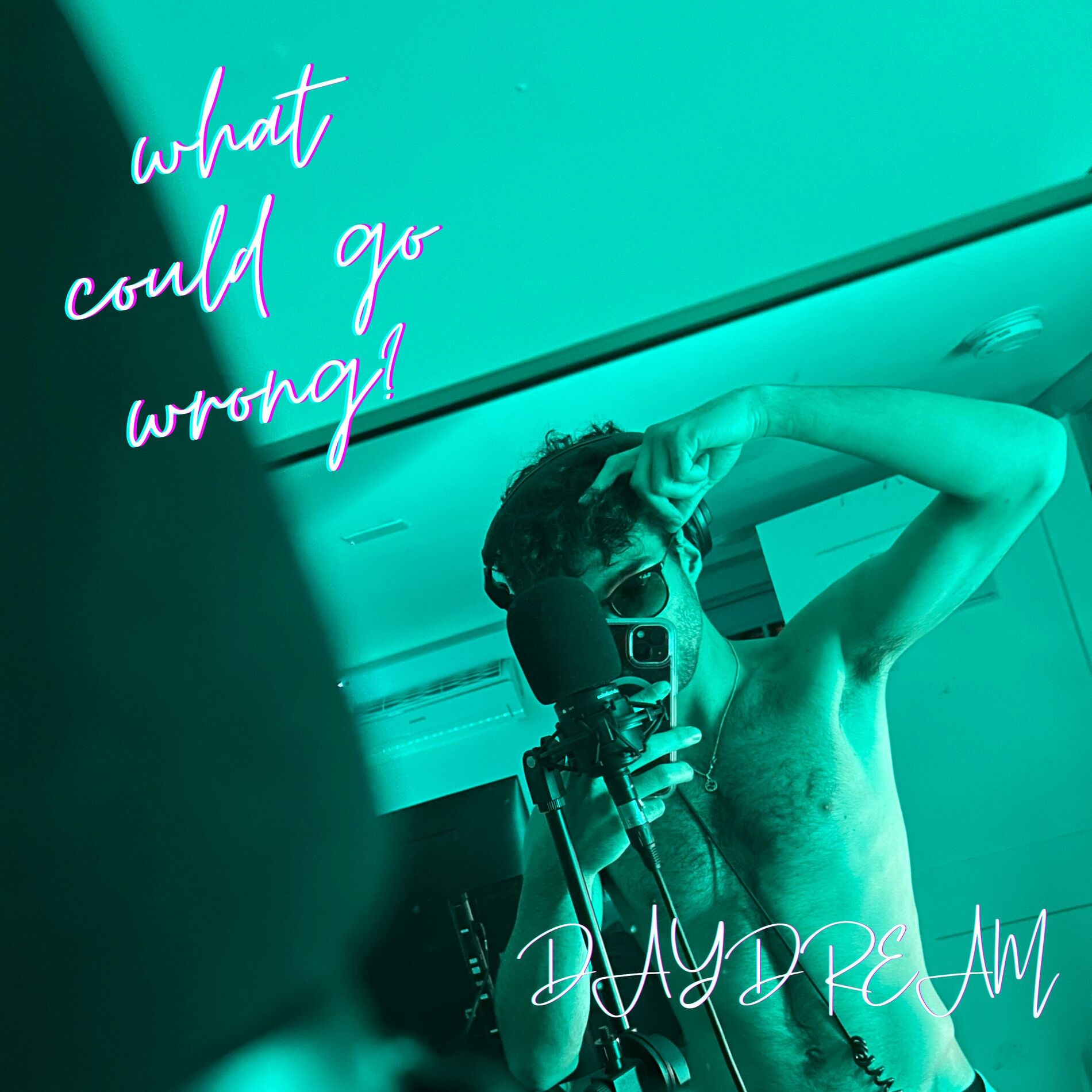 Album cover of what could go wrong?