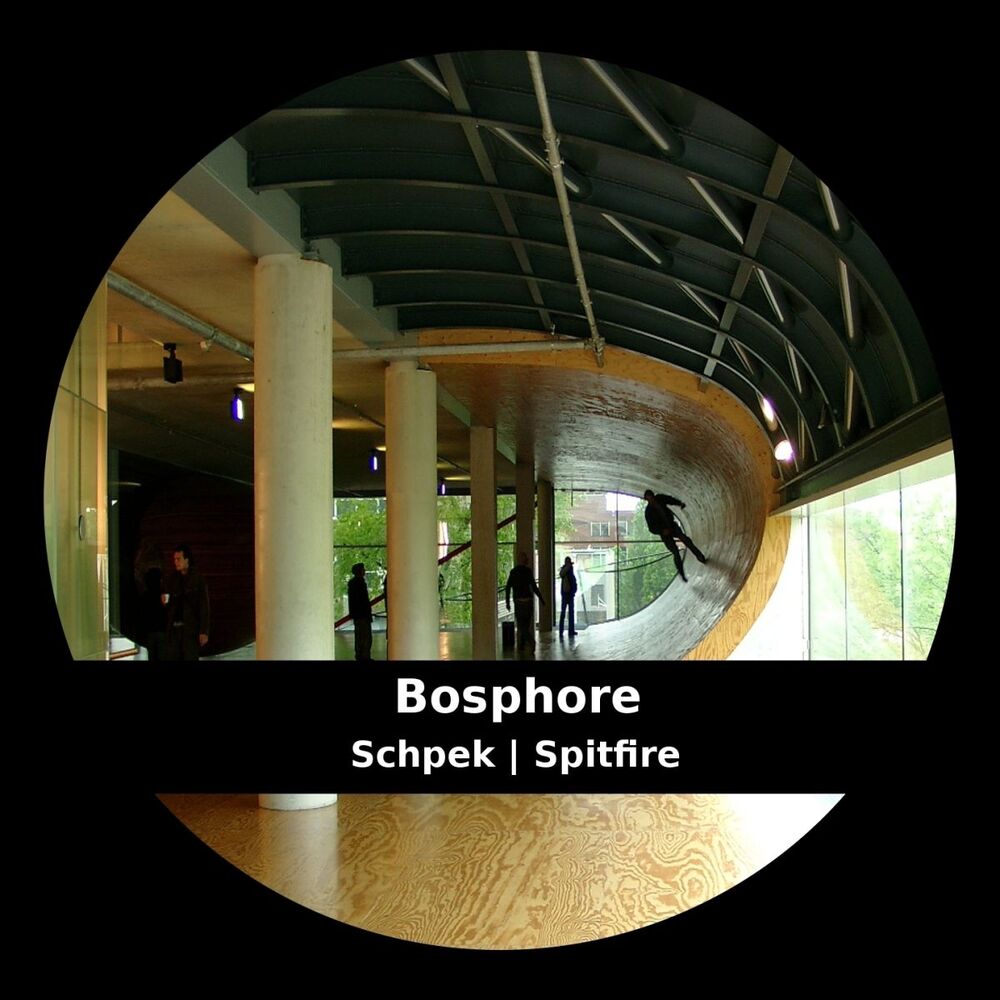 Picture of Schpek | Spitfire