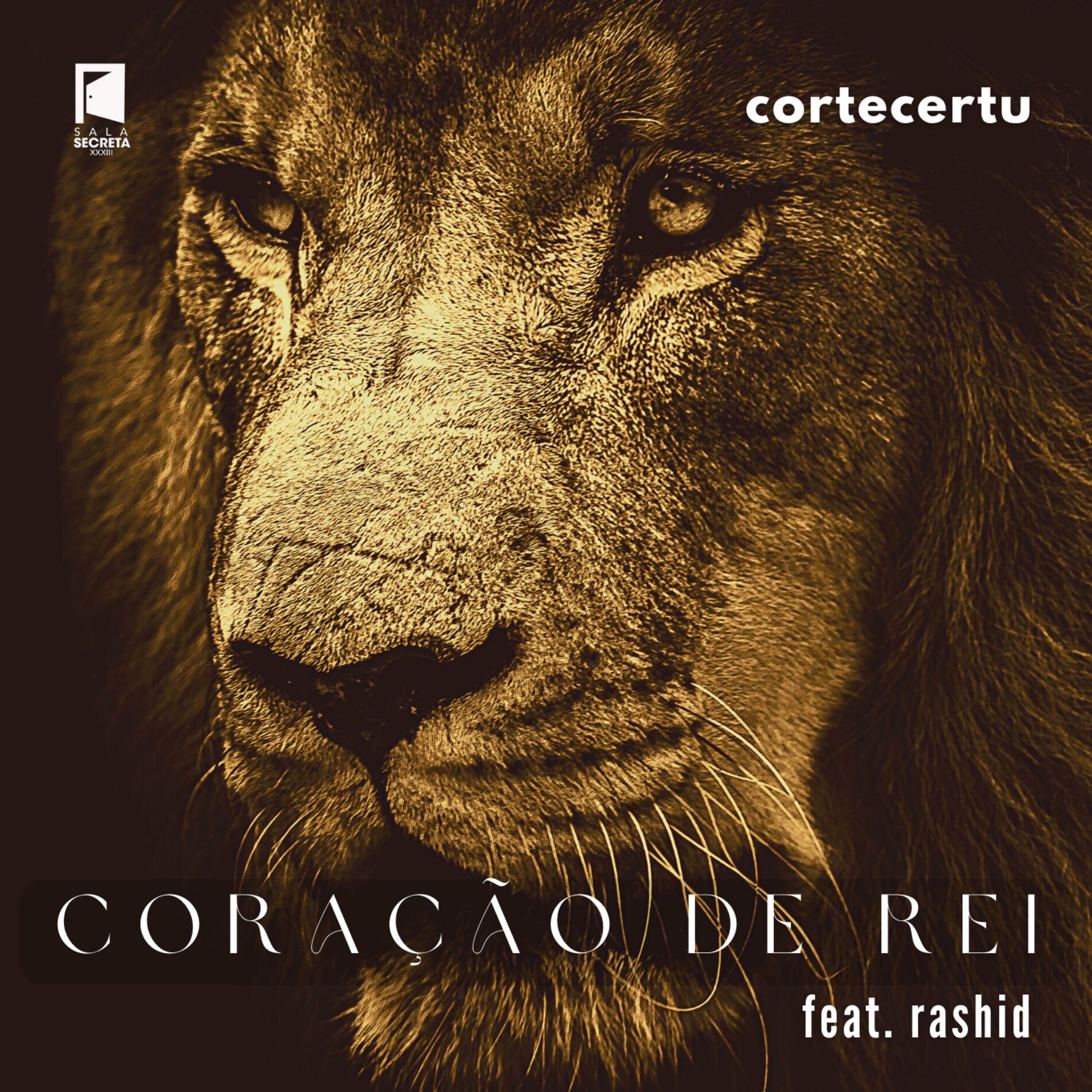 Album cover of Coração de Rei (Remix)