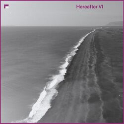 Cover of VI
