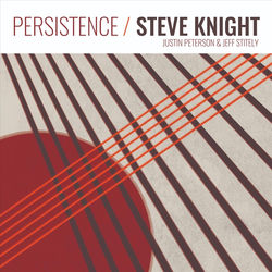 Cover of Persistence by undefined