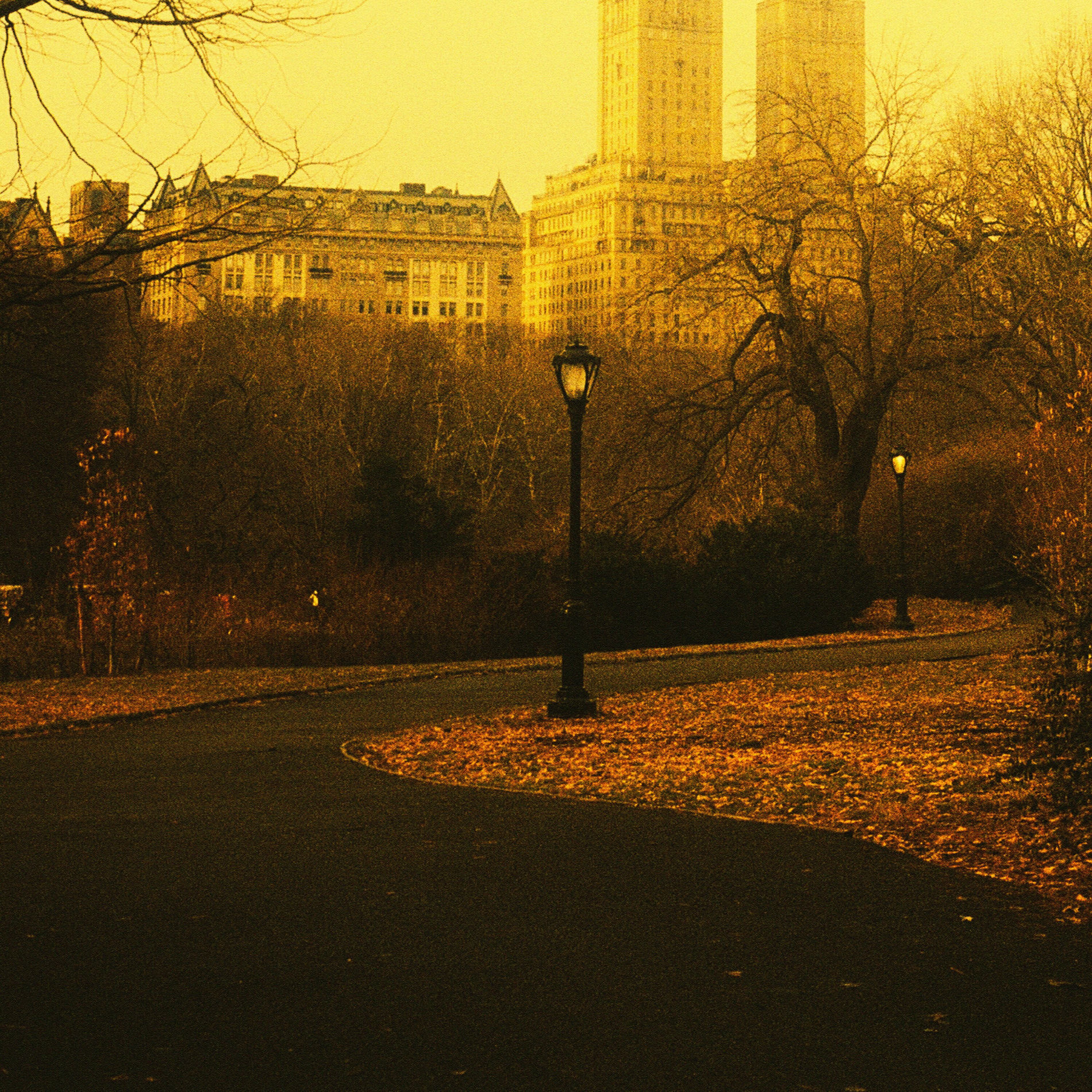 Album cover of Romance