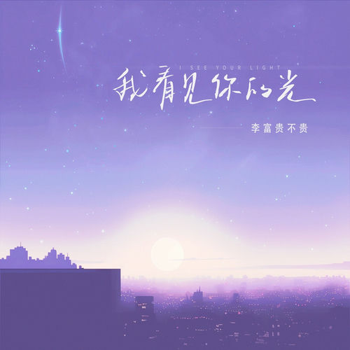 我看见你的光