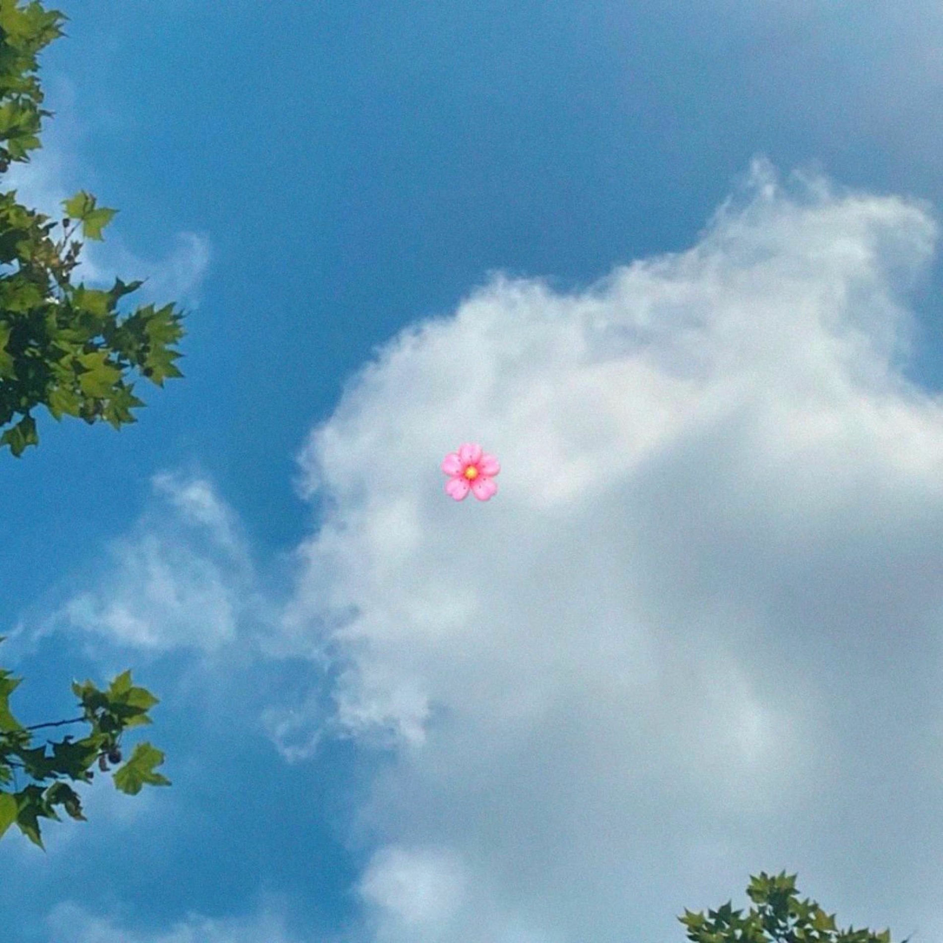 Album cover of Starway to dónde?