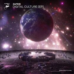 Cover of Digital Culture