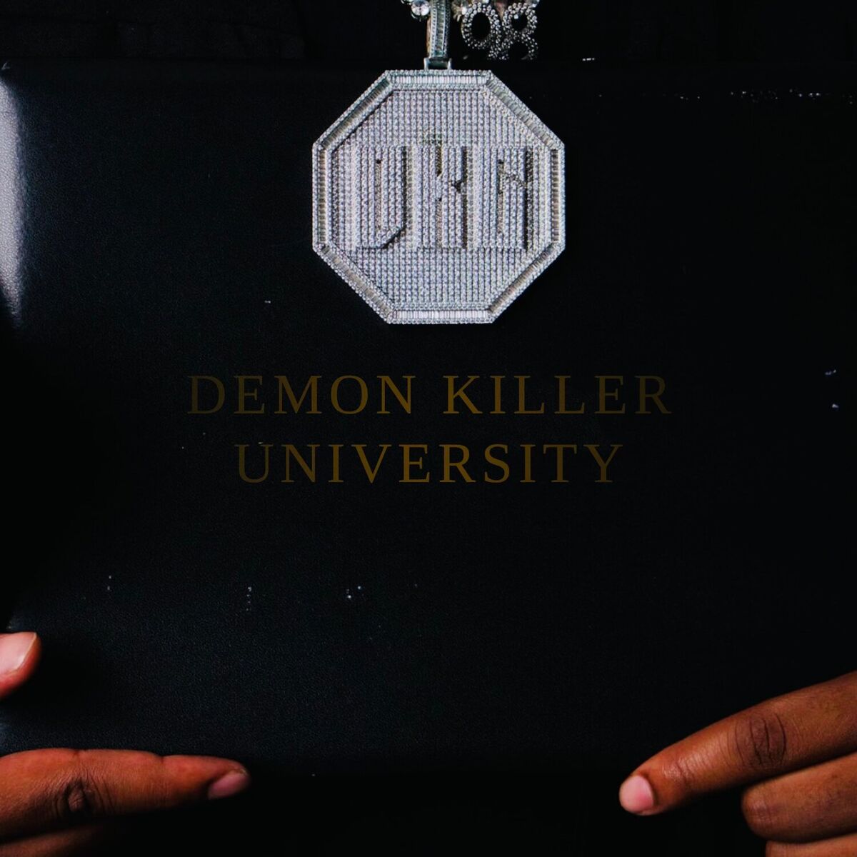 Album cover of Demon Killer University