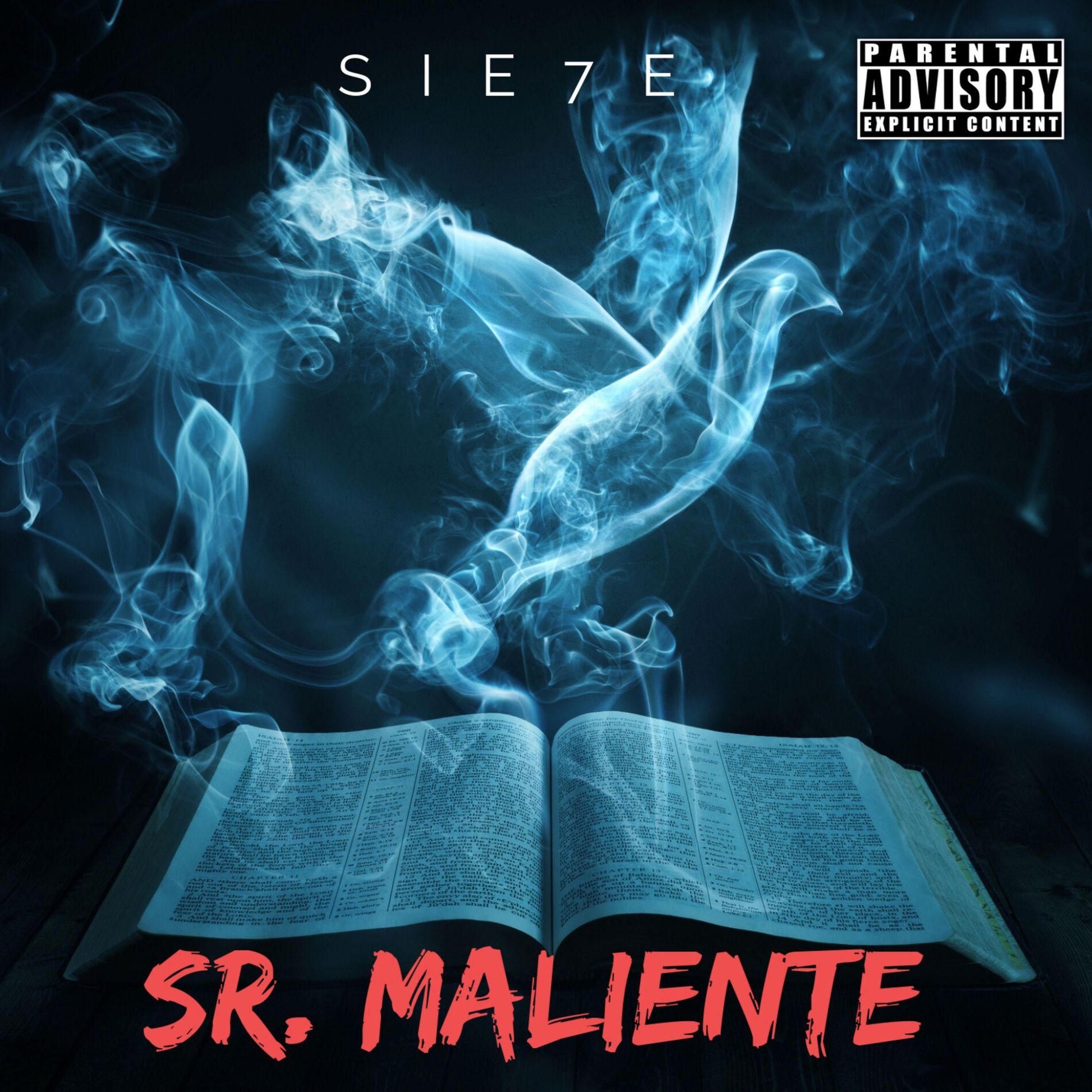 Album cover of Sr. Maliente