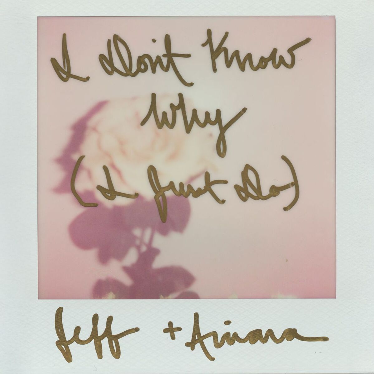 Album cover of I Don't Know Why (I Just Do)