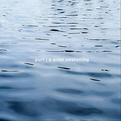 Cover of A Quiet Awakening