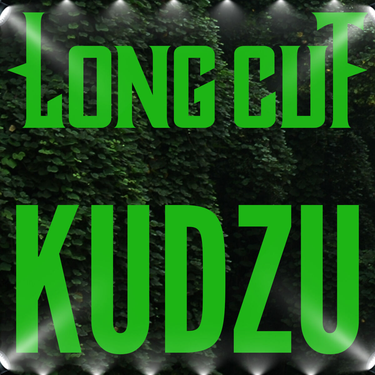 Album cover of KUDZU