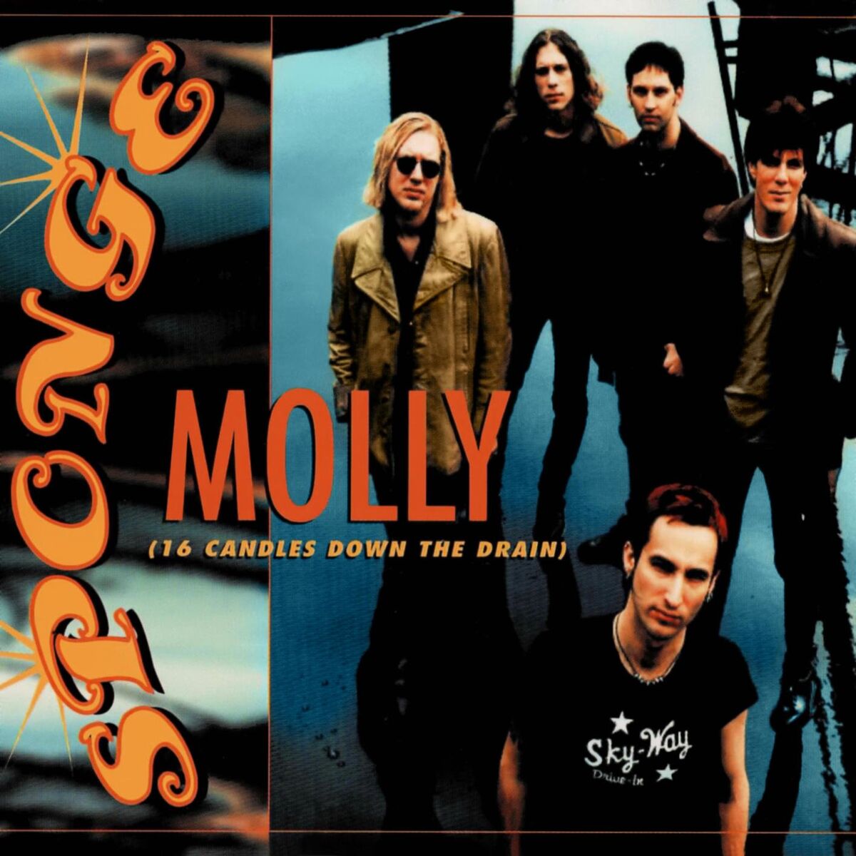 Album cover of Molly (16 Candles Down the Drain)