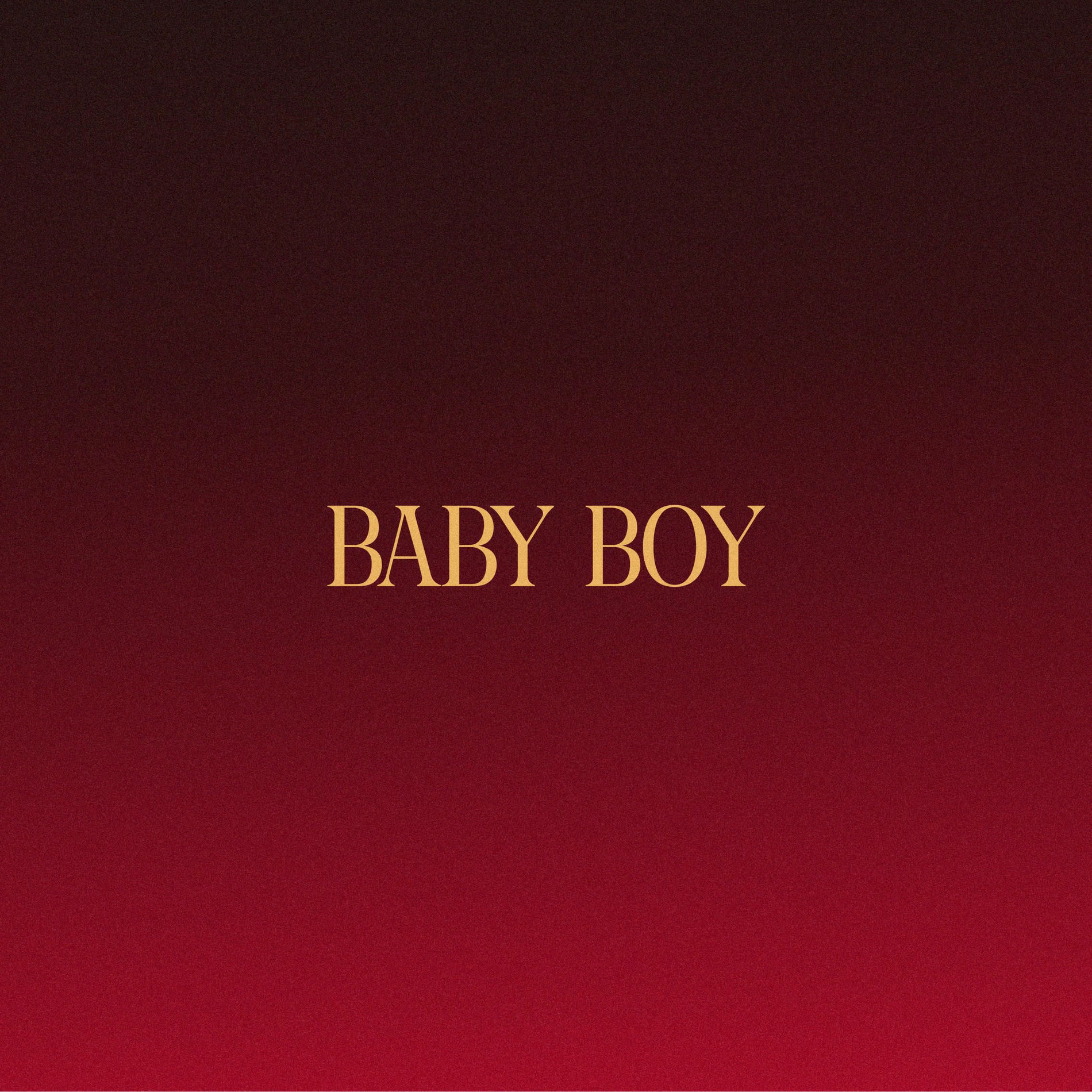 Album cover of Baby Boy
