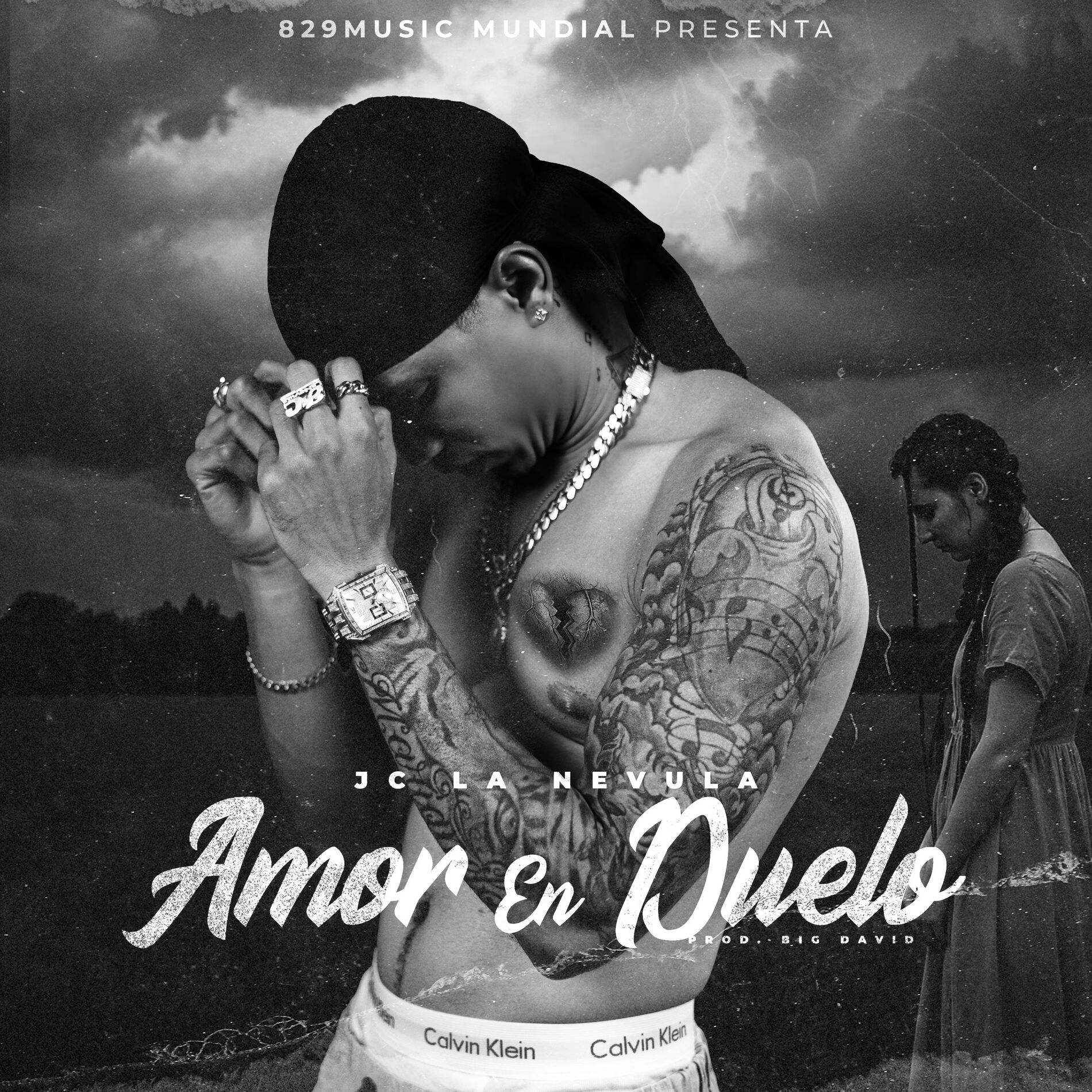 Album cover of Amor En Duelo