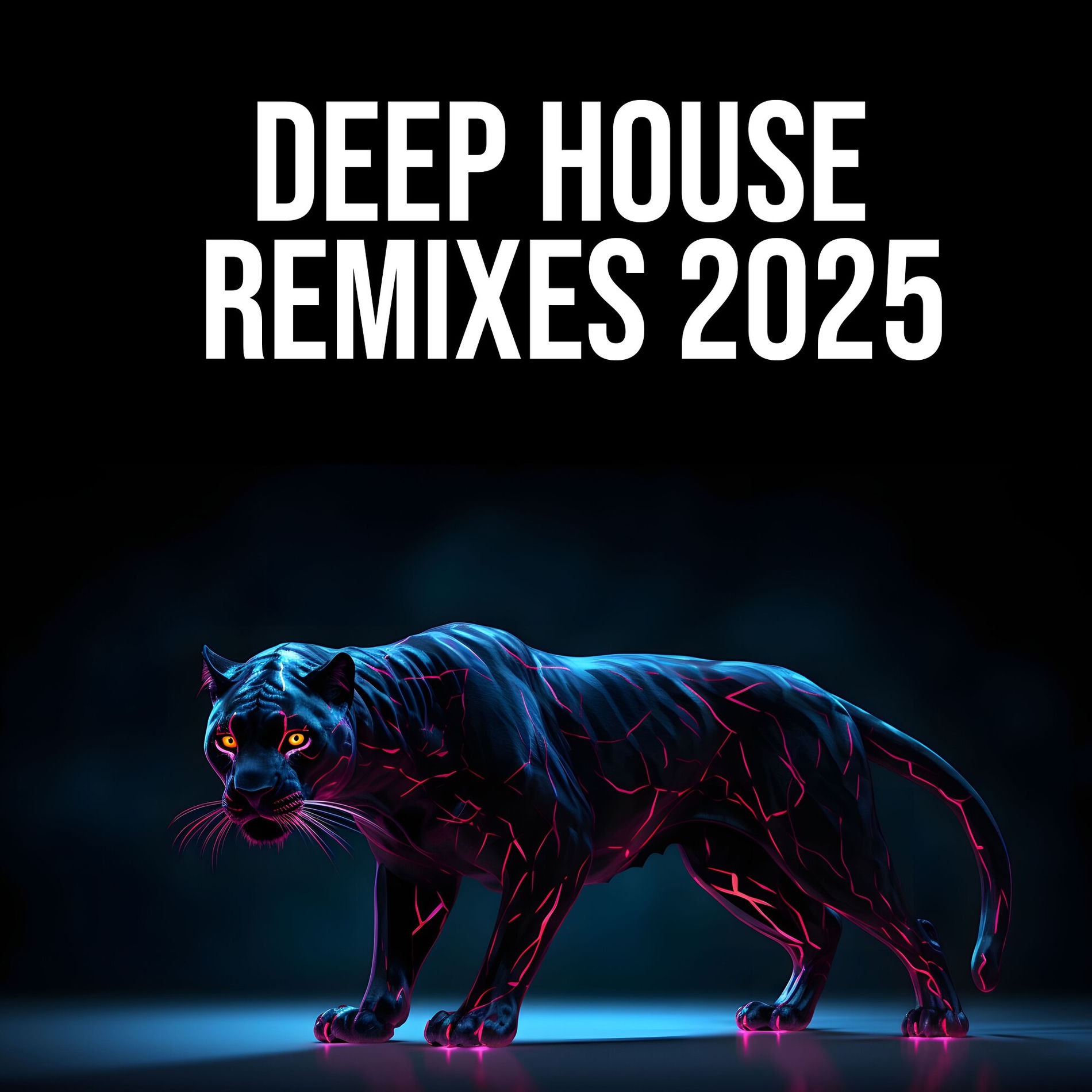 Album cover of Deep House Remixes 2025
