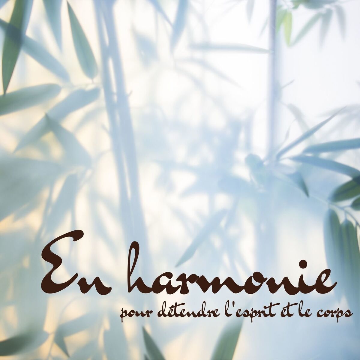 Album cover of En harmonie: Musique douce pour détendre l'esprit et le corps et soulager l'anxiété, mieux dormir