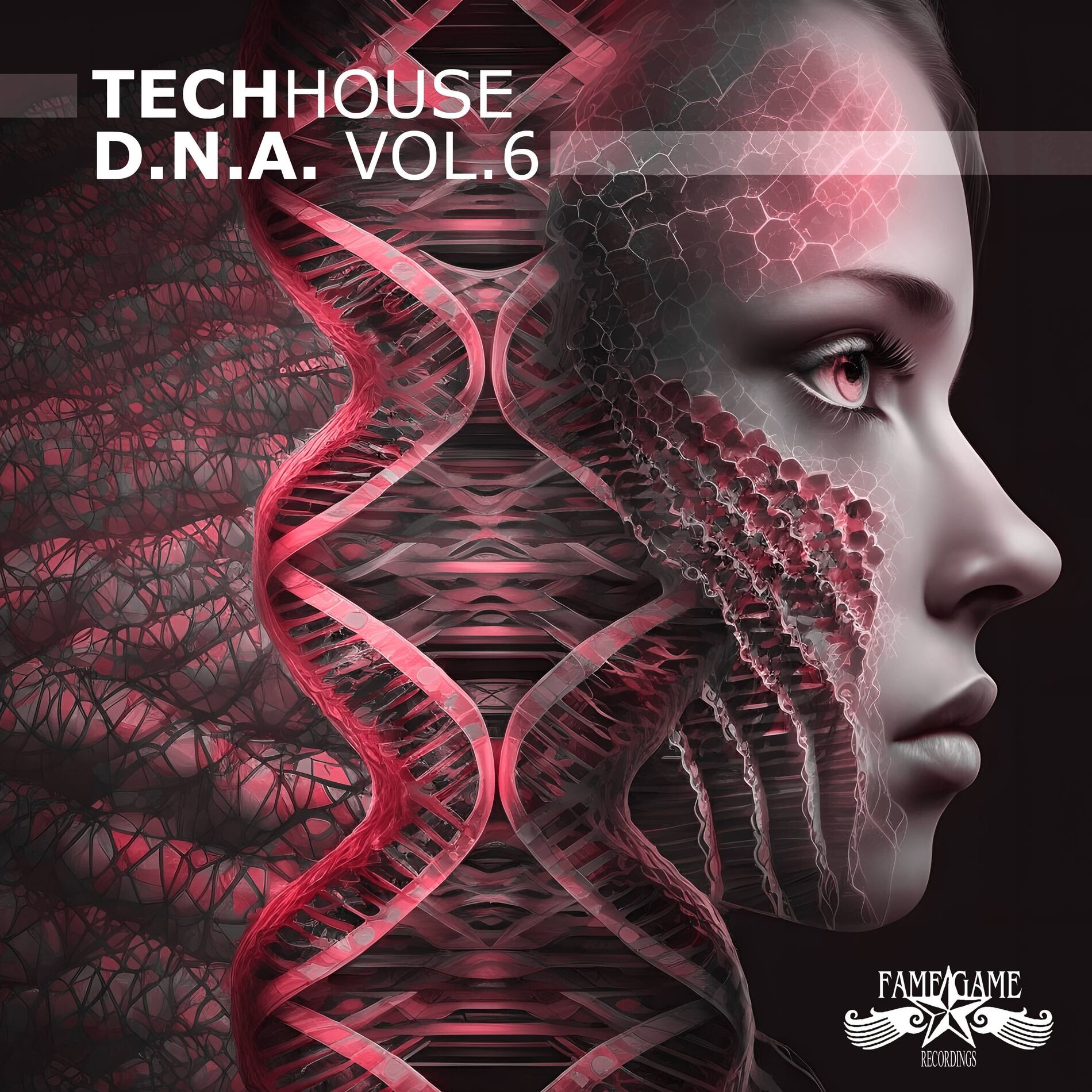 Album cover of Techhouse D.N.A., Vol. 6