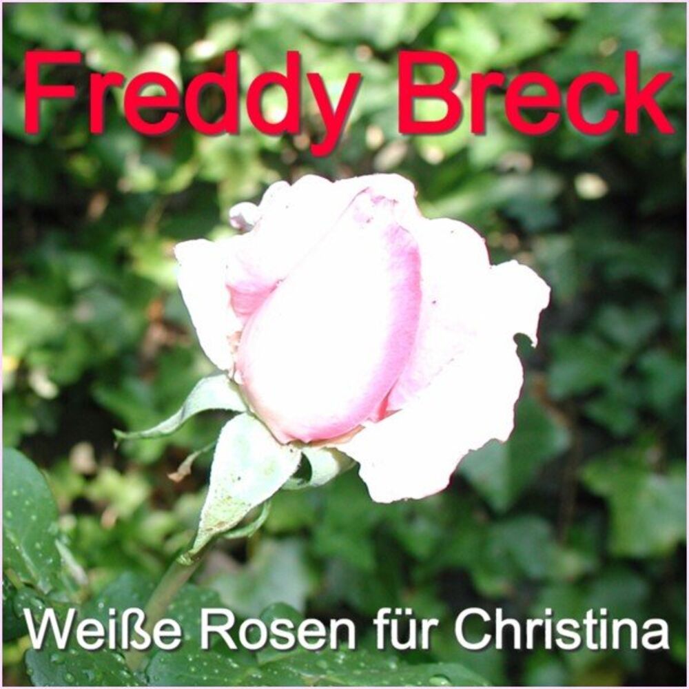 Picture of Weiße Rosen für Christina