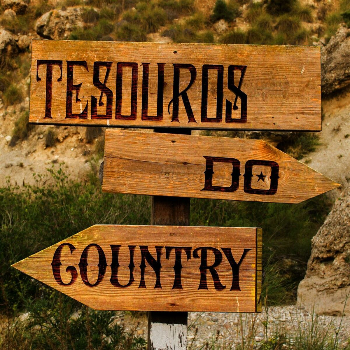 Album cover of Tesouros do Country