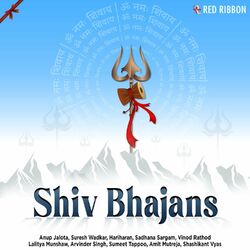 Cover of Shiv Bhajans