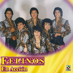 Cover of Felinos en Acción