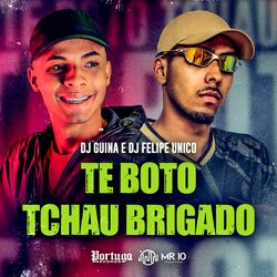 Cover of Te Boto Tchau Brigado