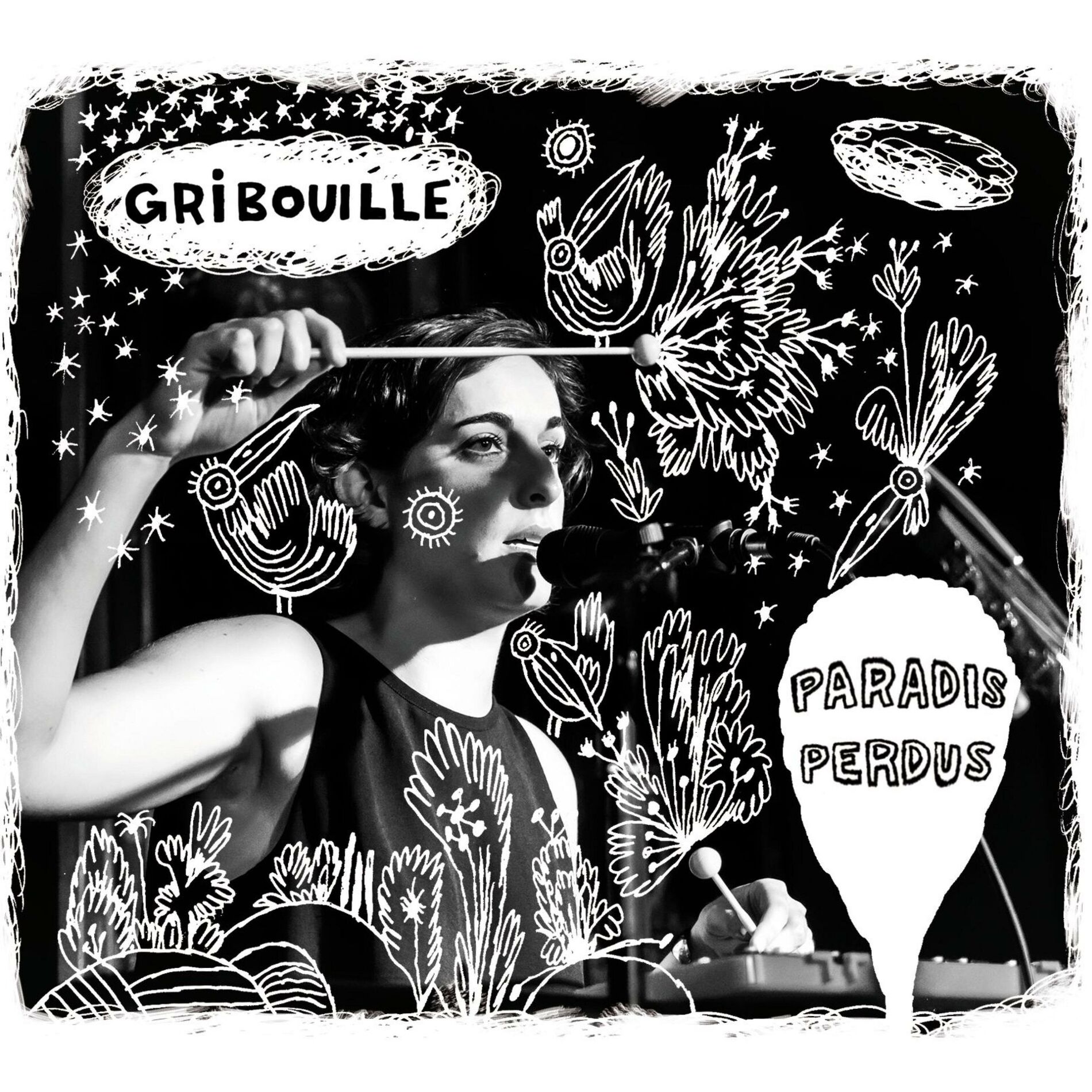 Album cover of Paradis perdus