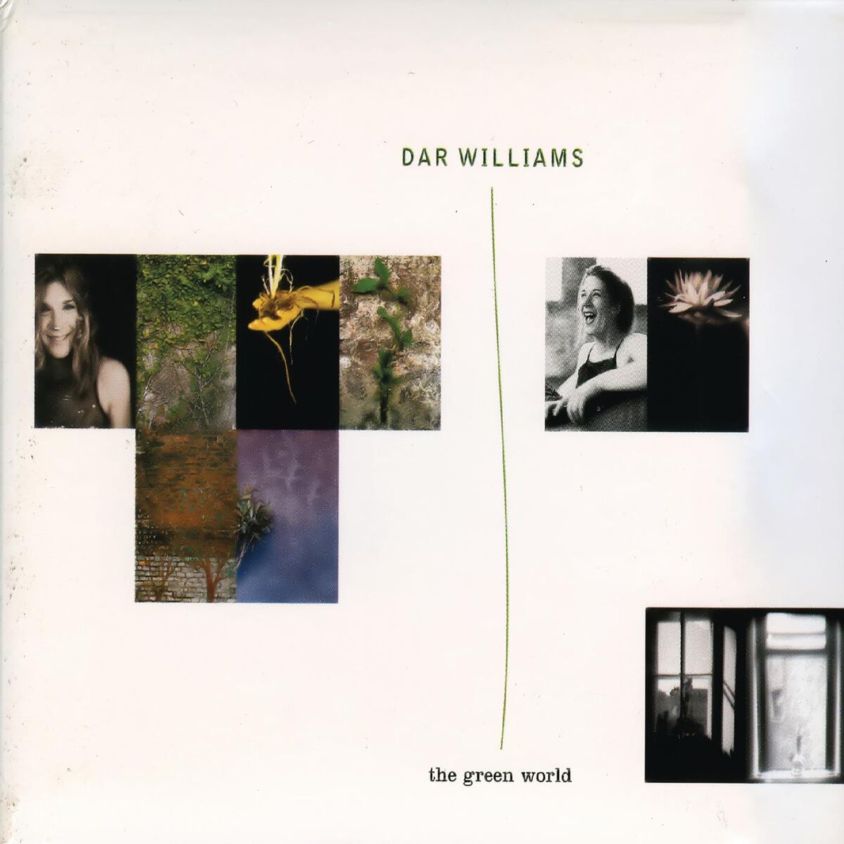 Album cover of The Green World