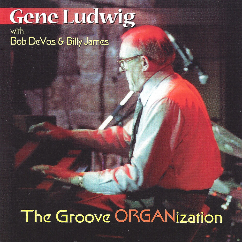 Picture of The Groove Organization