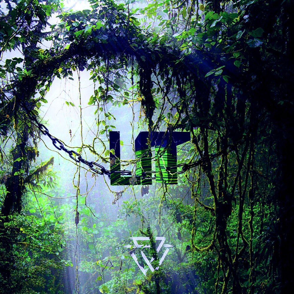 Picture of LIT