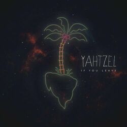 Cover of If You Leave