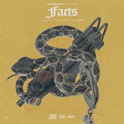 Cover of Facts