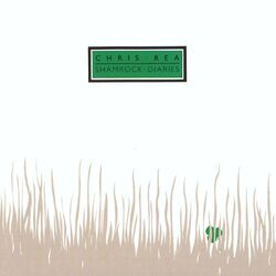 Cover of Shamrock Diaries