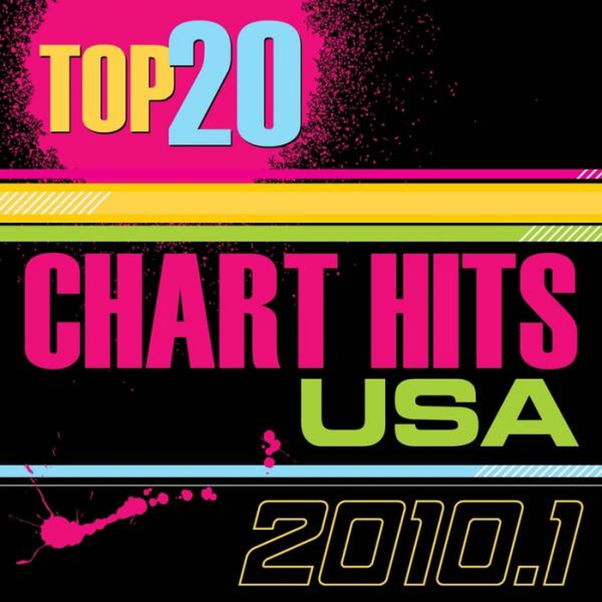 Album cover of Top 20 Chart Hits - 2010.1 USA