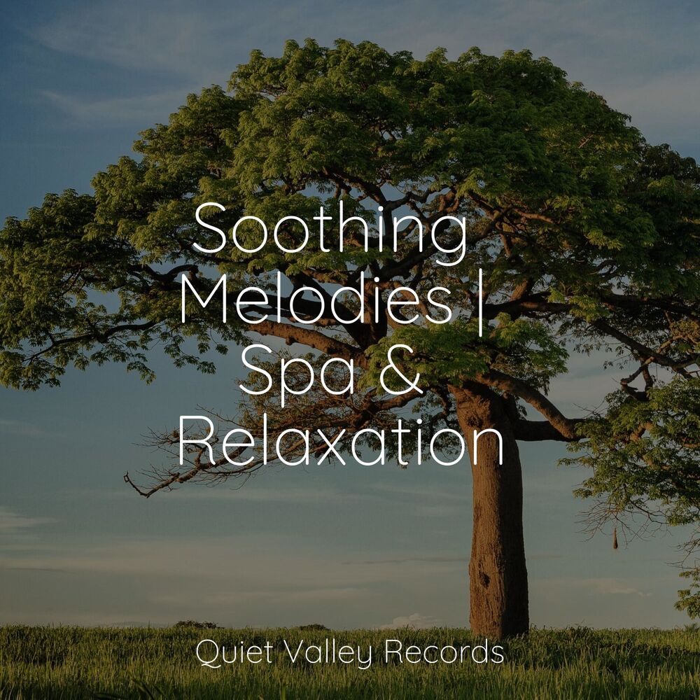Picture of Soothing Melodies | Spa & Relaxation