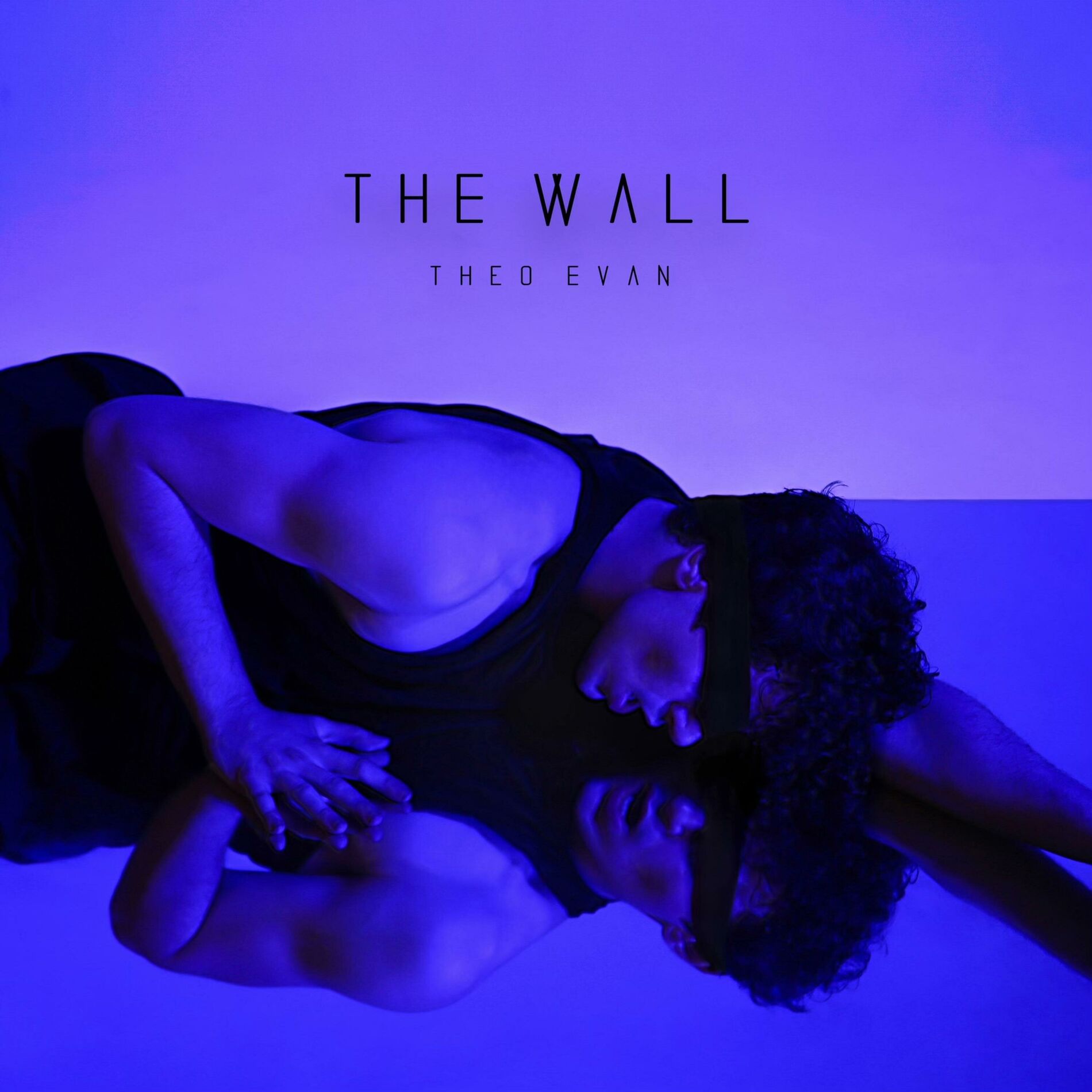 Album cover of The Wall