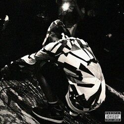 Cover of Rare Wulf